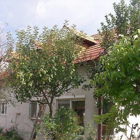 Reb/Mar Romspa Brad  Exterior foto