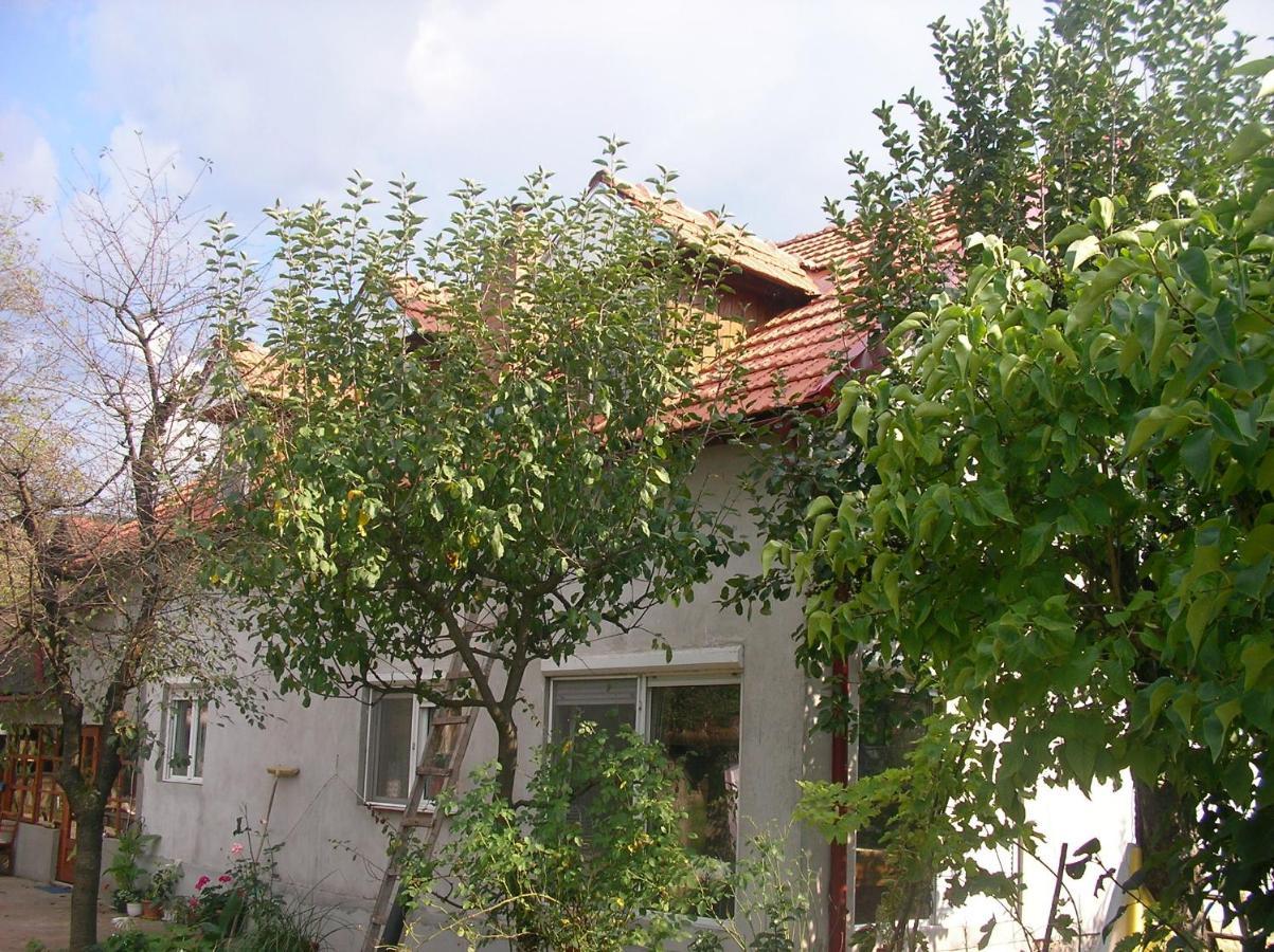 Reb/Mar Romspa Brad  Exterior foto